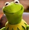 Image result for Kermit Healthy Memes