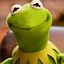 Image result for Kermit Writing