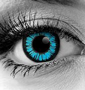 Image result for Colored Contact Lenses Cat Eyes