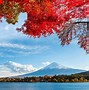 Image result for Mount Fuji Forest