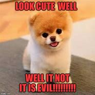 Image result for Cute Memes On Line