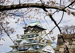 Image result for Osaka Castle Sakura