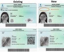 Image result for Work Permit Card
