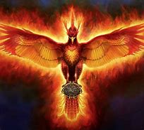 Image result for Ave Fenix Y Dragon