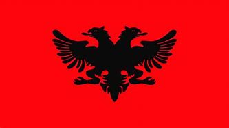 Image result for Principality of Albania Flag