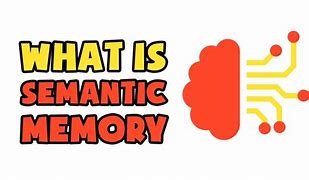 Image result for Semantic Memory