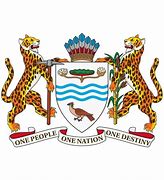 Image result for Guyana Government Type
