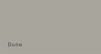 Image result for Sand Dune Paint Color