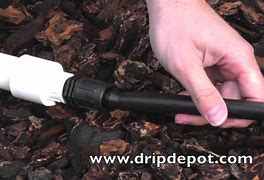 Image result for 1 Inch PVC Pipe in Cat with Down Size to Drip Irrigation