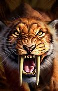 Image result for Danger Lion Wallpaper