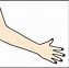Image result for Straight Arm Clip Art