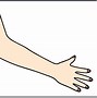 Image result for Curved Arm Clip Art