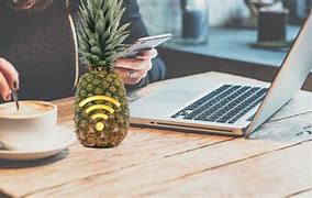 Image result for Network Pineapple