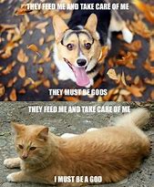 Image result for Dog Cat Jokes
