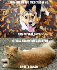 Image result for Funny Animal Jokes