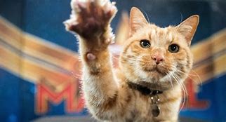 Image result for Goose The Cat Marvel