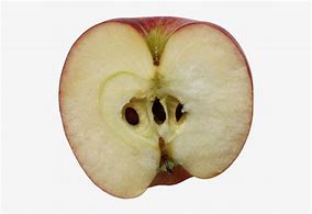 Image result for Half Apple On White Background