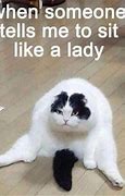 Image result for Funny Cat Memes Twitter