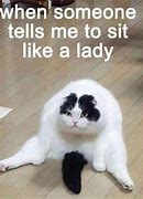 Image result for Funny Animal Memes 2020