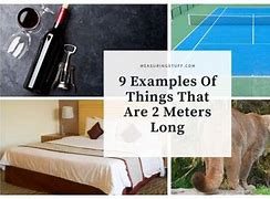 Image result for Things That Are 2 Meters Long