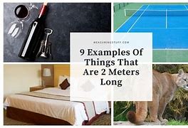 Image result for Examples of 2 Meters Long