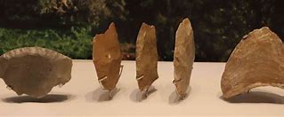 Image result for Prehistoric Artist Tools