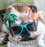 Image result for Second Best Summer Ever Meme