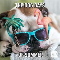 Image result for Summer Day Meme