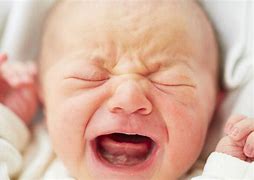 Image result for The Big Cry Baby