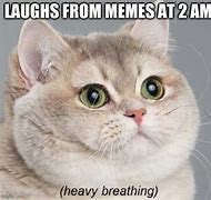 Image result for Heavy Breathing Cat Meme