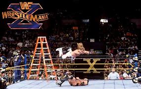 Image result for WrestleMania X