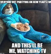Image result for News Year's Eve Cat Meme