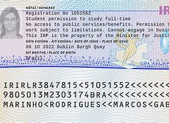 Image result for Ireland Resident Permit