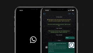 Image result for How to Use WhatsApp On iPhone