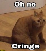 Image result for Confused Shocked Cat Meme