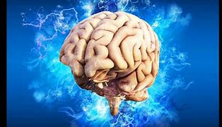 Image result for Brain Fun Facts