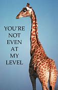 Image result for Giraffes Zodiac Meme