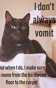 Image result for Vomit Cat Meme