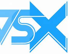 Image result for VSX Gaming Logo