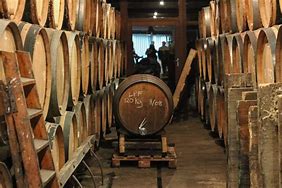 Image result for Cantillon Brewery Bruocsella
