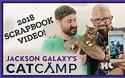 Image result for Jackson Galaxy Eat Play