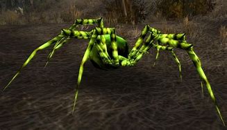 Image result for World of Warcraft Spider