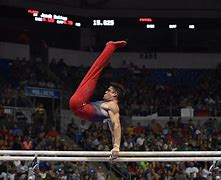 Image result for Parallel Bars Gymnastics PE Activities