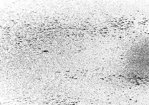 Image result for Blue Noise Texture