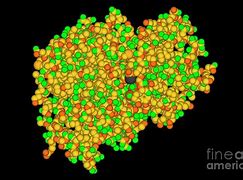 Image result for Casein Micelle Structure