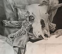 Image result for Charcoal Skull Still Life