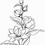 Image result for Artsy Flower Drawings