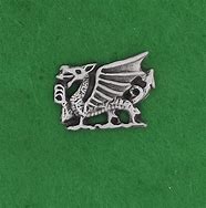 Image result for Welsh Dragon Pin