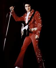 Image result for Elvis Presley Jumpsuit Cape