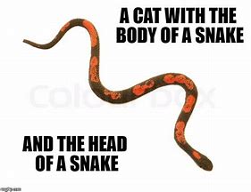 Image result for Cat Snake Meme